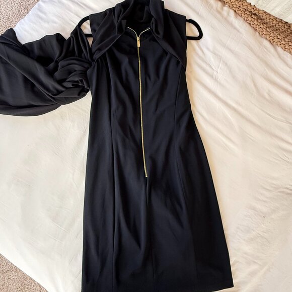 Mock Neck Chiffon Trapeze Dress - Picture 7 of 11